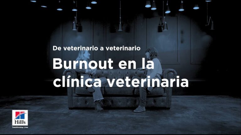 Consejos de Veterinarios Expertos para el Cuidado de Mascotas