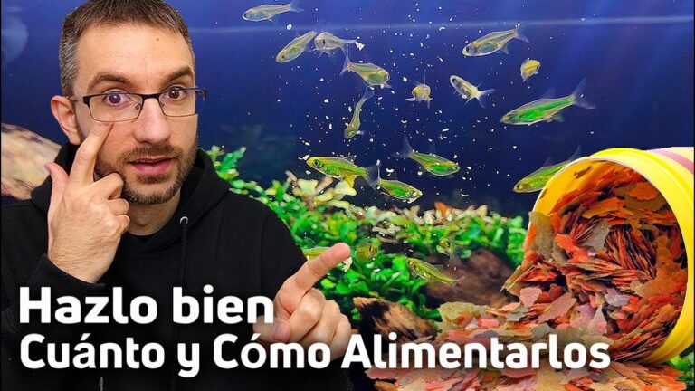 Peces Saludables: Gu&iacute;a de Alimentaci&oacute;n Adecuada en Acuarios