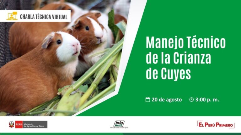 Gesti&oacute;n Ambiental en la Cr&iacute;a y Reproducci&oacute;n Animal