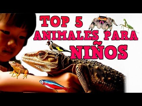 Alimentaci&oacute;n Personalizada para Mascotas Ex&oacute;ticas: Gu&iacute;a Esencial