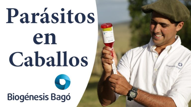 Guía de Productos Recomendados para Desparasitar Caballos