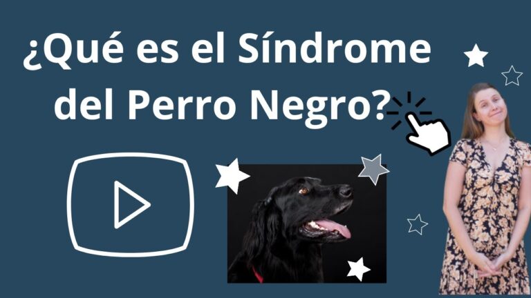 Gu&iacute;a para una Adopci&oacute;n Responsable de Animales