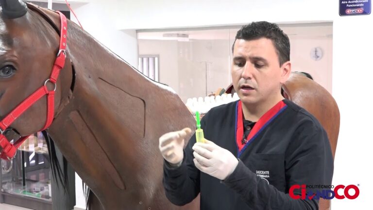 Protocolos Efectivos de Desparasitaci&oacute;n en Animales en Cautiverio