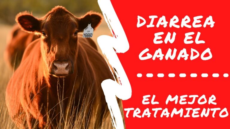 Controlando la Neumon&iacute;a en Reptiles: Gu&iacute;a Pr&aacute;ctica