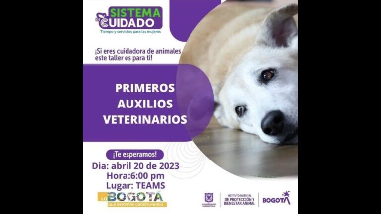 Servicios de Emergencia para el Cuidado de Mascotas: Tu Guía Esencial