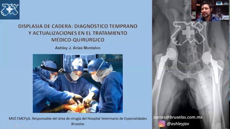 Importancia del Seguimiento Postoperatorio en Animales de Compa&ntilde;&iacute;a