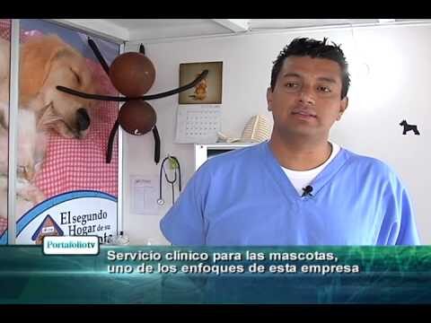 Cuidados Veterinarios para la Desparasitaci&oacute;n de Animales Marinos