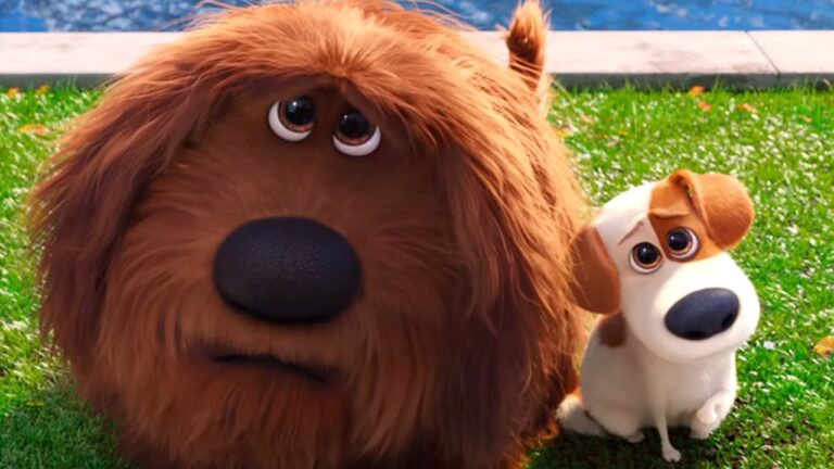 Cuidado Integral de Mascotas Adoptadas con Atenci&oacute;n Veterinaria