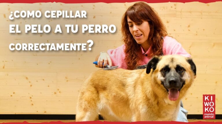 Guía para Cepillar el Pelo de tu Mascota Correctamente