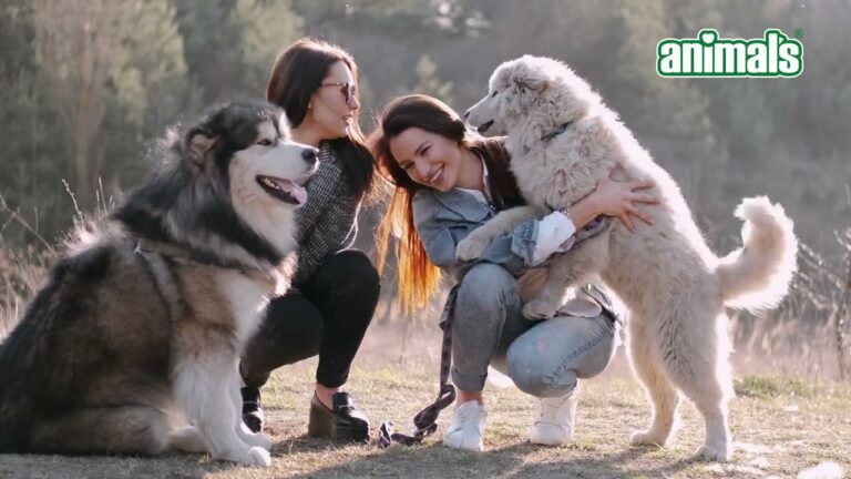 Cuidados Nutricionales Esenciales para Cachorros