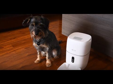 Dispensadores Inteligentes para Mascotas: Innovaci&oacute;n en Alimentaci&oacute;n