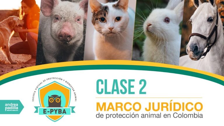 Legislaci&oacute;n y Derechos de los Animales en el Sistema Jur&iacute;dico