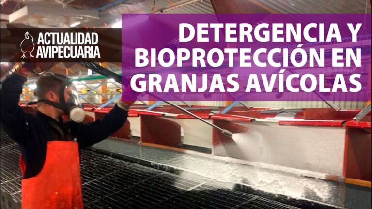 La Importancia de la Higiene en la Avicultura