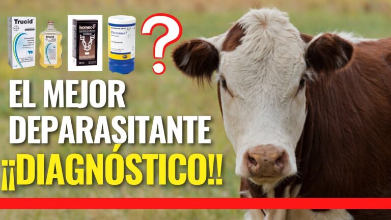 Beneficios de la Desparasitaci&oacute;n en la Producci&oacute;n Agropecuaria