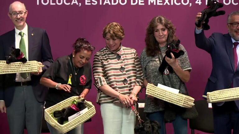 Legislaci&oacute;n Animal: Estrategias para el Control de Sobrepoblaci&oacute;n