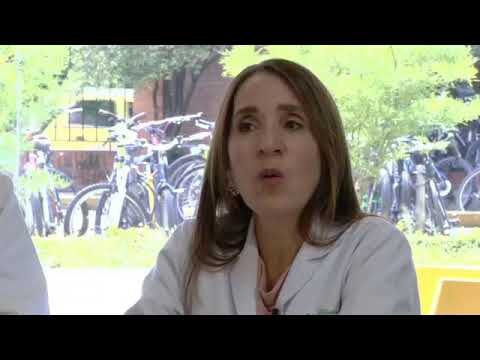 La importancia de la cirug&iacute;a renal en animales