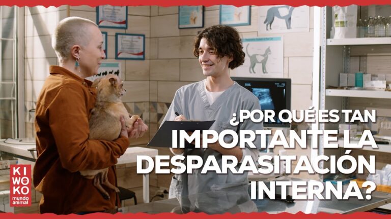 Desparasitaci&oacute;n: Clave para la Salud de los Peces
