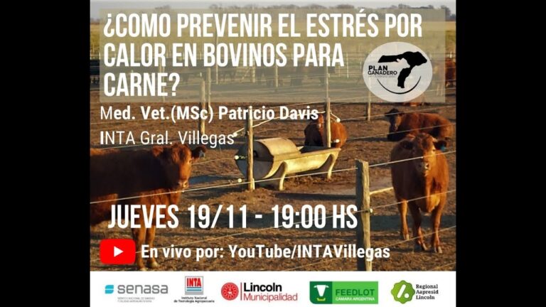 El impacto del estr&eacute;s en la salud animal