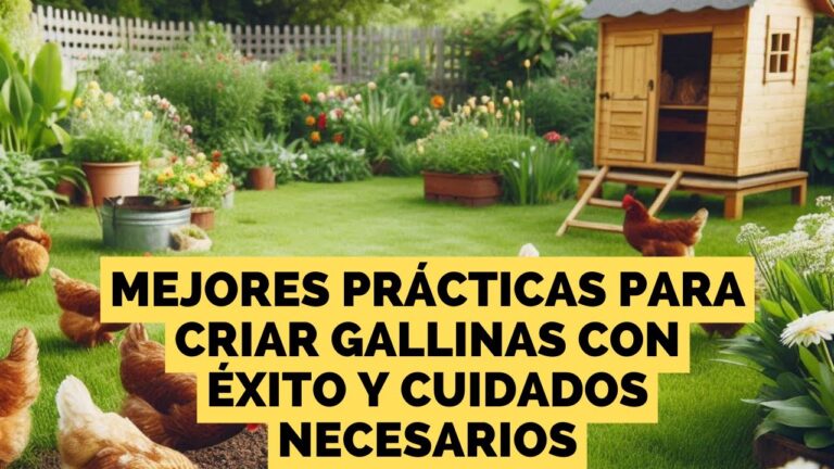 Crianza de Animales en Entornos Limpios y Seguros
