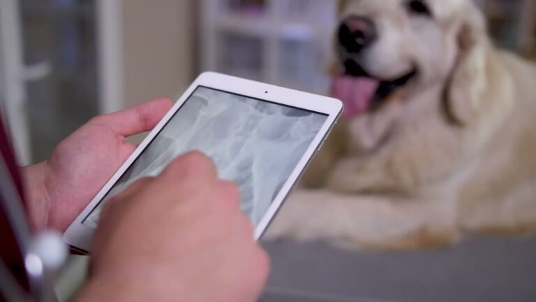 Aplicaciones Esenciales para Veterinarios Profesionales