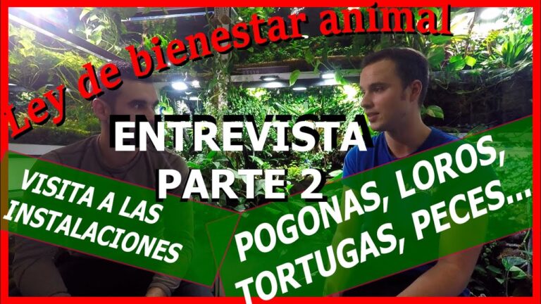 Cuidados Espec&iacute;ficos para Animales Ex&oacute;ticos