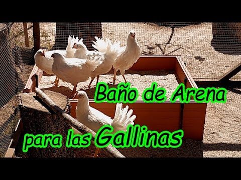 Gu&iacute;a Pr&aacute;ctica para el Ba&ntilde;o y Aseo de Aves en Casa