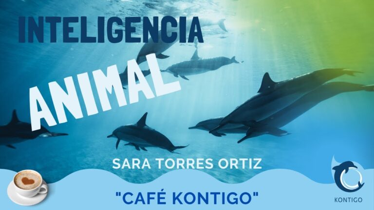 Acuarios marinos: una visi&oacute;n veterinaria esencial