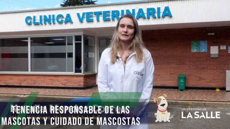 Cuidado Responsable en Veterinaria: Claves para el Bienestar Animal