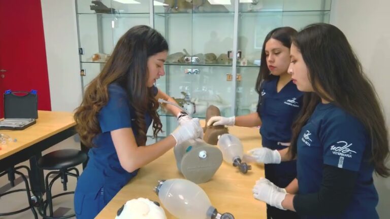 Innovaciones en Tecnología Punta para la Medicina Veterinaria