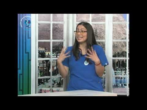 Reacciones Al&eacute;rgicas Comunes en Emergencias Veterinarias para Mascotas