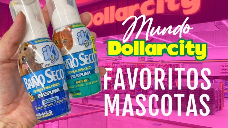 Dispensadores de Comida y Accesorios Esenciales para el Cuidado de Mascotas