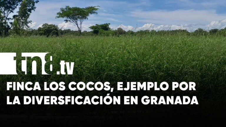 Innovaci&oacute;n en la Producci&oacute;n Pecuaria para la Diversificaci&oacute;n Agr&iacute;cola