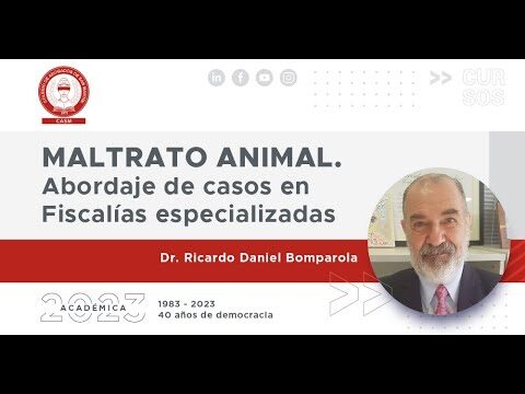 Rescate Animal y Defensa de los Derechos de los Animales