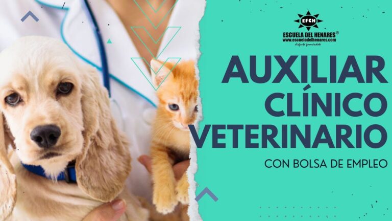 Cuidados Preoperatorios Esenciales para Animales Exóticos