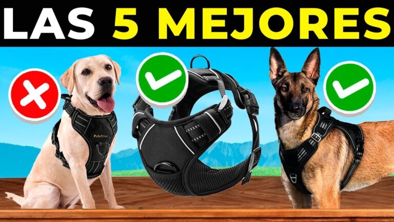 Los Mejores Arn&eacute;s Ajustables para Mascotas