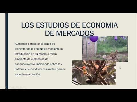 Evaluaci&oacute;n del Bienestar en Animales Ex&oacute;ticos