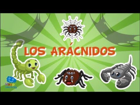 Terapia con Peque&ntilde;os Mam&iacute;feros: Beneficios Emocionales