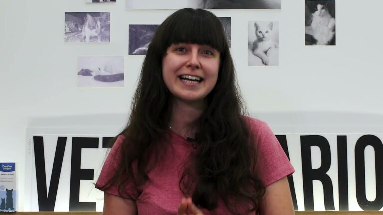 Cuidado Dental en Veterinaria Especializada