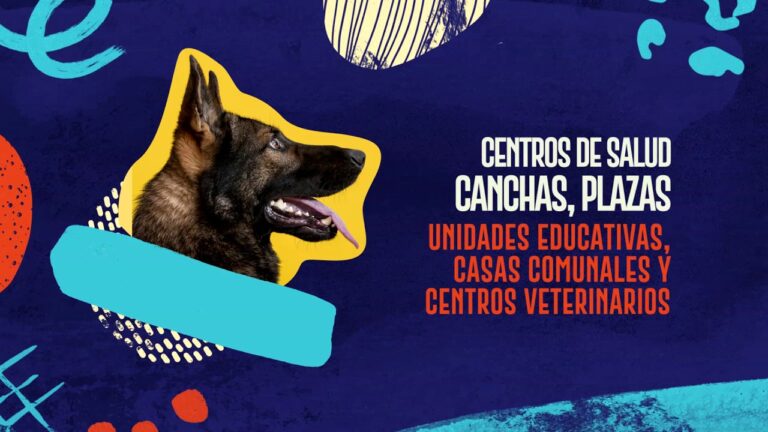 Vacunar a tu Mascota: Amor y Prevenci&oacute;n Esencial