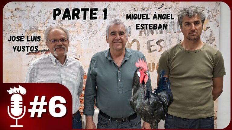 Cuidados Veterinarios para el Bienestar de las Aves Dom&eacute;sticas