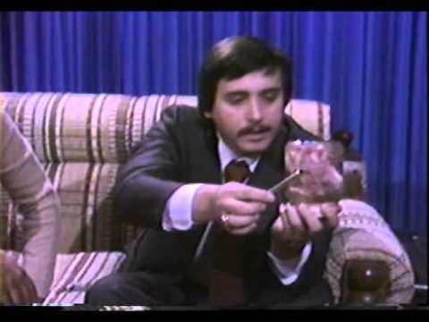 Perspectivas de Veterinarios Expertos en Parasitolog&iacute;a