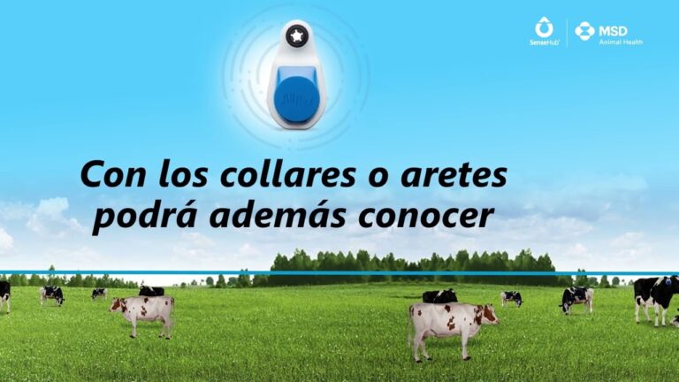 Innovaciones Tecnol&oacute;gicas en el Monitoreo Veterinario