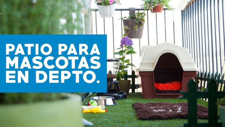 Casetas y Jaulas Perfectas para el Descanso de tu Mascota