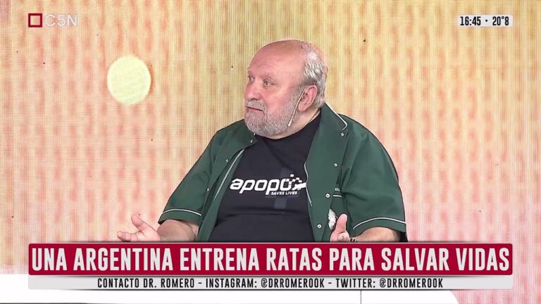 La Importancia de la Castraci&oacute;n en H&aacute;msters