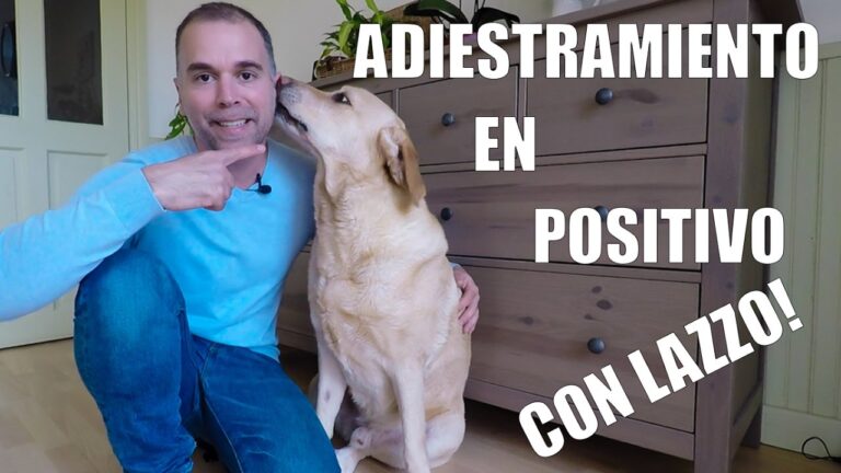 T&eacute;cnicas de Psicolog&iacute;a Animal para un Entrenamiento Positivo Efectivo