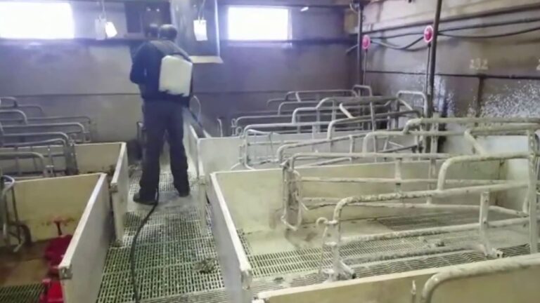 Mejorando la Higiene en Corrales de Animales de Granja
