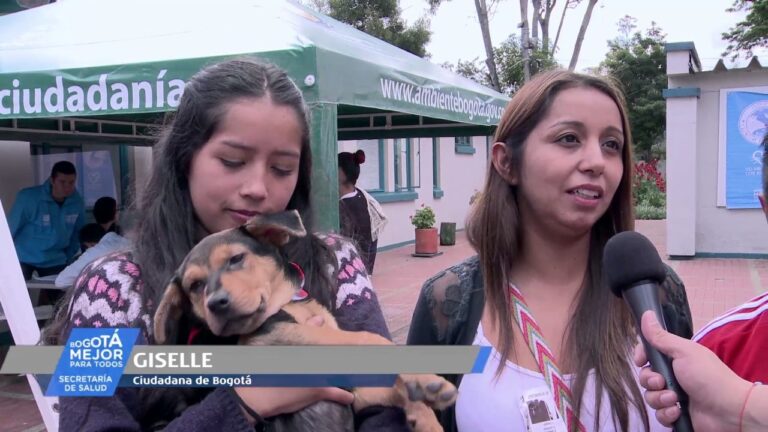 La importancia de la salud dental en la adopci&oacute;n de animales