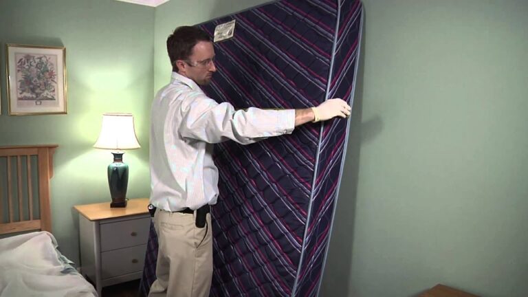 Consejos de Veterinarios Expertos para el Control de Plagas