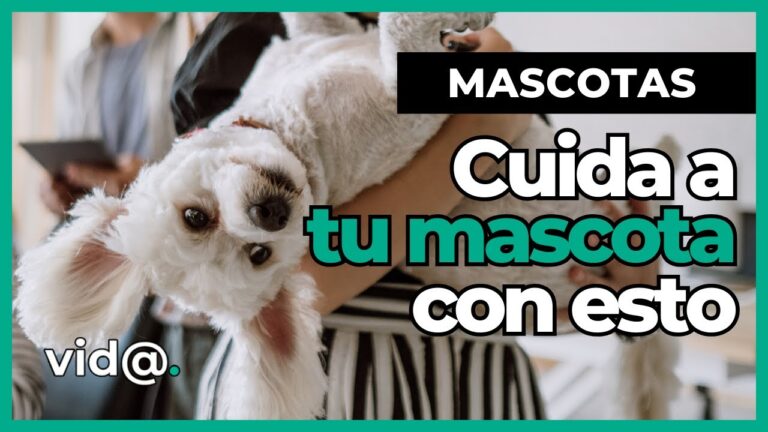 Productos Naturales para el Bienestar de tus Mascotas