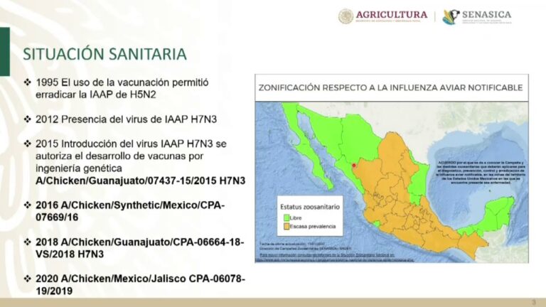 Salud Aviar: Importancia de la Vacunaci&oacute;n Veterinaria